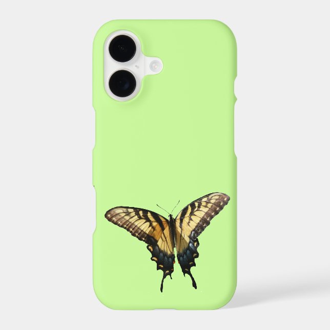 Swallowtail Butterfly III Beautiful Colourful Phot (Back)