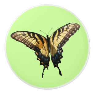 Swallowtail Butterfly III Beautiful Colourful Phot Ceramic Knob