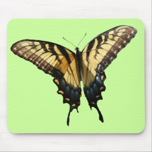 Swallowtail Butterfly III Beautiful Colourful Phot Mouse Pad