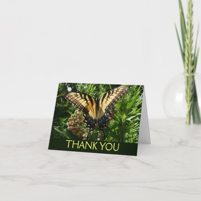 Swallowtail Butterfly III Beautiful Colourful Phot Thank You Card (Front)
