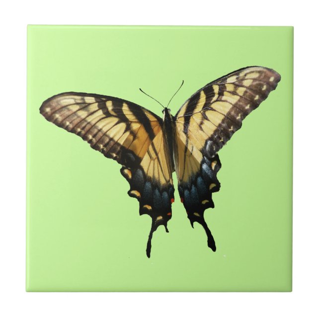 Swallowtail Butterfly III Beautiful Colourful Phot Tile (Front)