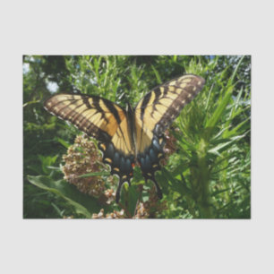 Swallowtail Butterfly III Beautiful Colourful Phot Tissue Paper