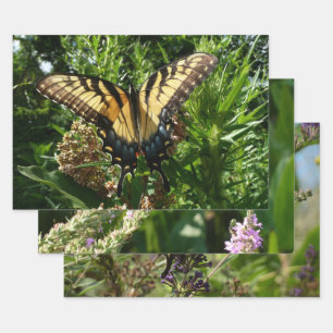 Swallowtail Butterfly III Beautiful Colourful Phot Wrapping Paper Sheet
