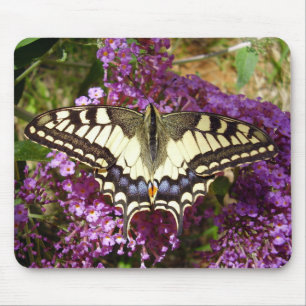 Swallowtail Butterfly Mouse Mat