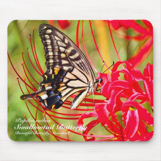 Swallowtail Butterfly Mouse Pad (Front)