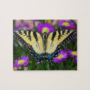 Swallowtail Butterfly on daisy Jigsaw Puzzle