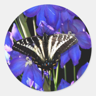 Swallowtail Butterfly on Delphiniums Classic Round Sticker