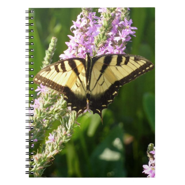 Swallowtail Butterfly on Purple Wildflowers Notebook (Front)
