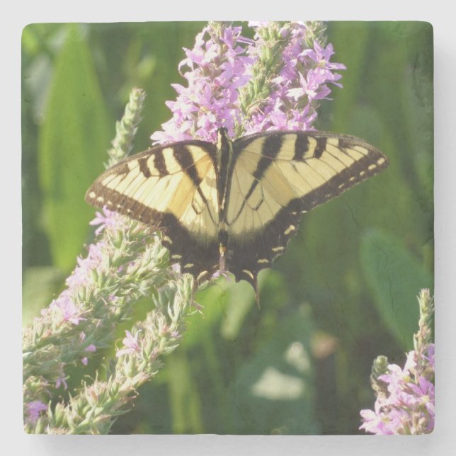 Swallowtail Butterfly on Purple Wildflowers Stone Coaster (Front)