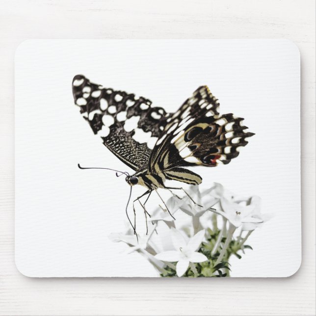 Swallowtail Butterfly Perched in white Mouse Pad (Front)
