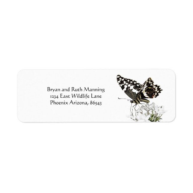 Swallowtail Butterfly Perched in white Return Address Label (Front)