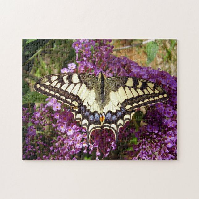 Swallowtail Butterfly Photo Puzzle with Gift Box (Horizontal)