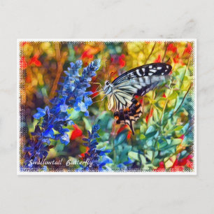 Swallowtail Butterfly Postcard