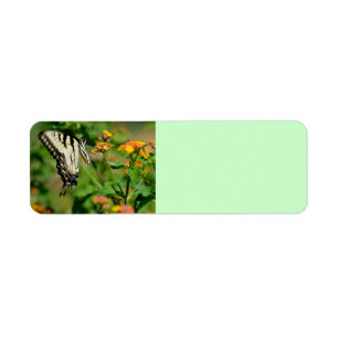 Swallowtail Butterfly Return Address Label