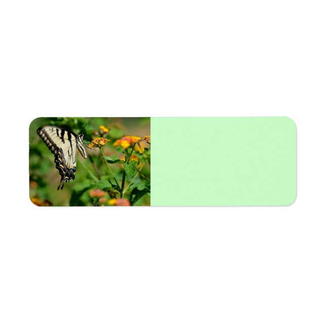 Swallowtail Butterfly Return Address Label (Front)