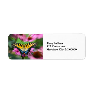 Swallowtail Butterfly Return Address Label