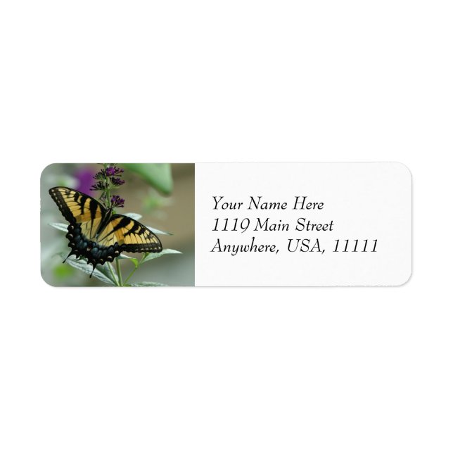 Swallowtail Butterfly Return Address Labels (Front)