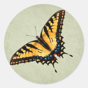 Swallowtail Butterfly Sticker