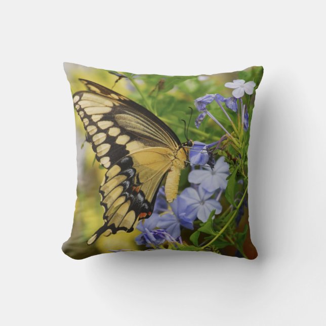 Swallowtail Butterfly Throw Pillow (Front)