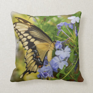Swallowtail Butterfly Throw Pillow