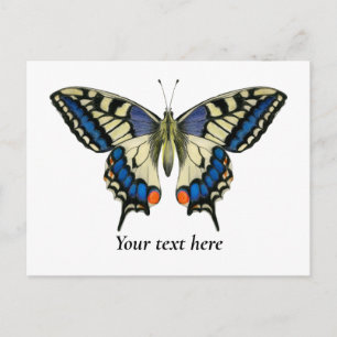 Swallowtail Butterfly Watercolor Painting Postcard