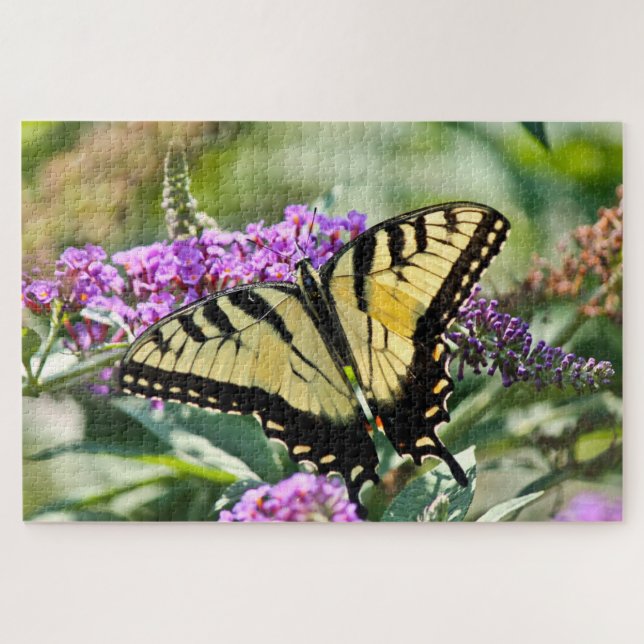 Swallowtail butterfly wings spread  jigsaw puzzle (Horizontal)
