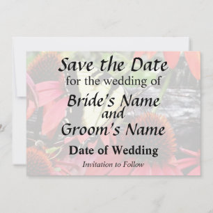 Swallowtail on Red Coneflower Save The Date