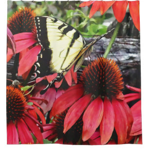 Swallowtail on Red Coneflower Shower Curtain