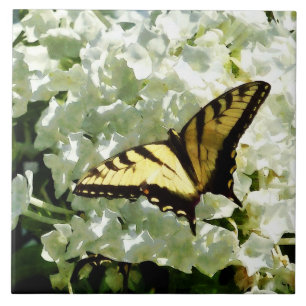 Swallowtail on White Hydrangea Ceramic Tile