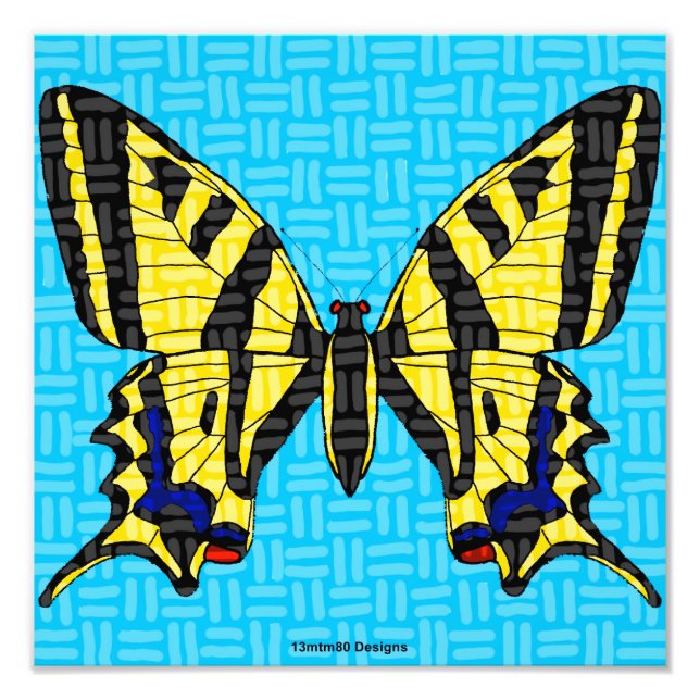 Swallowtail - Photo Print (Front)