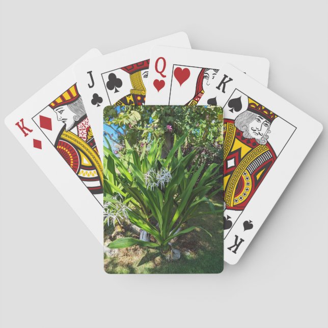 Swamp Lily Plant Playing Cards (Back)