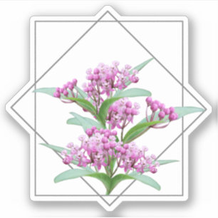 Swamp Milkweed Asclepias Incarnata Pink Flower
