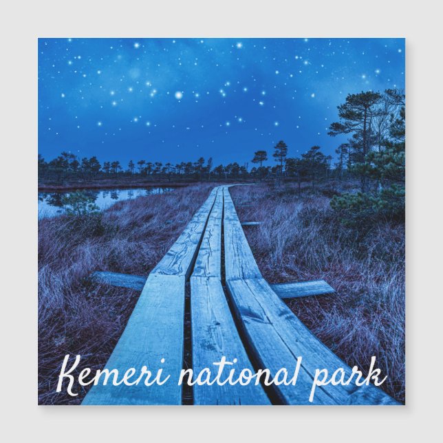 Swamp night magnet (Front)