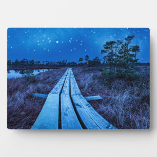 Swamp night plaque