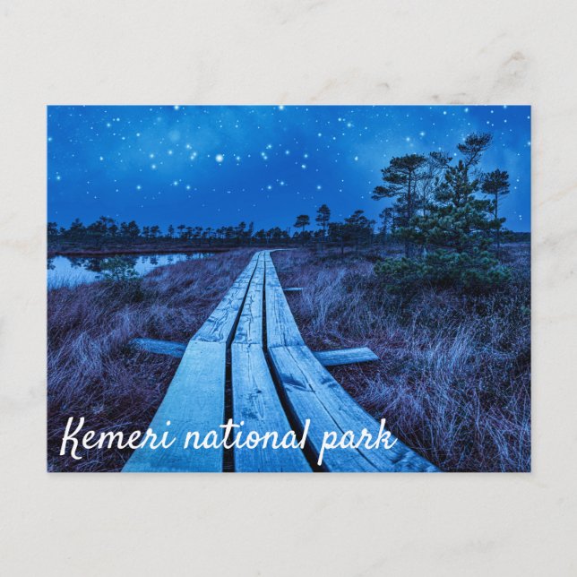 Swamp night postcard (Front)