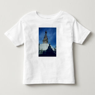 Swamyambunath Stupa Toddler T-Shirt