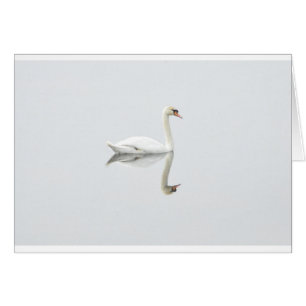 Swan