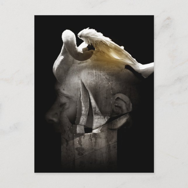 Swan 2013 postcard (Front)