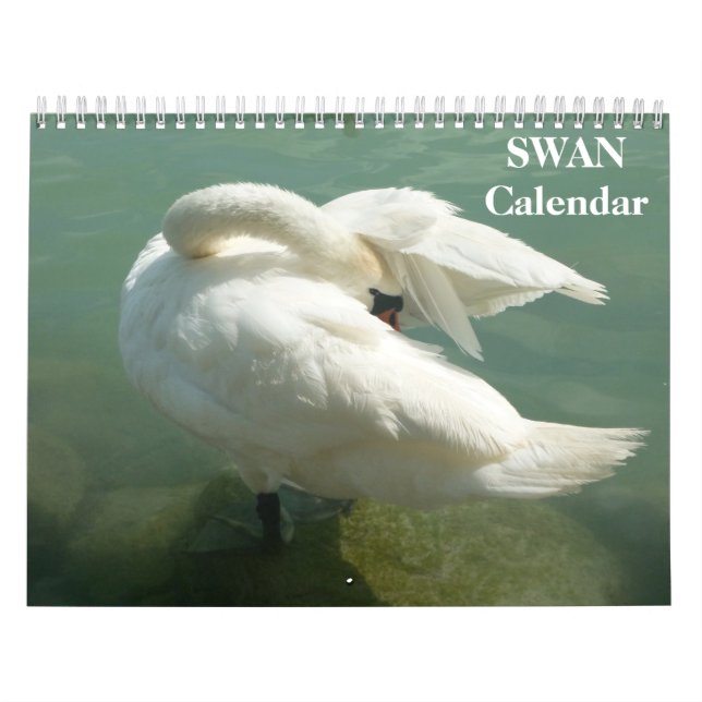 Swan 2026 calendar (Cover)