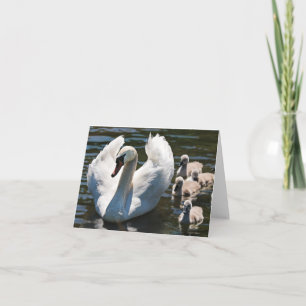 Swan and Cygnets Card