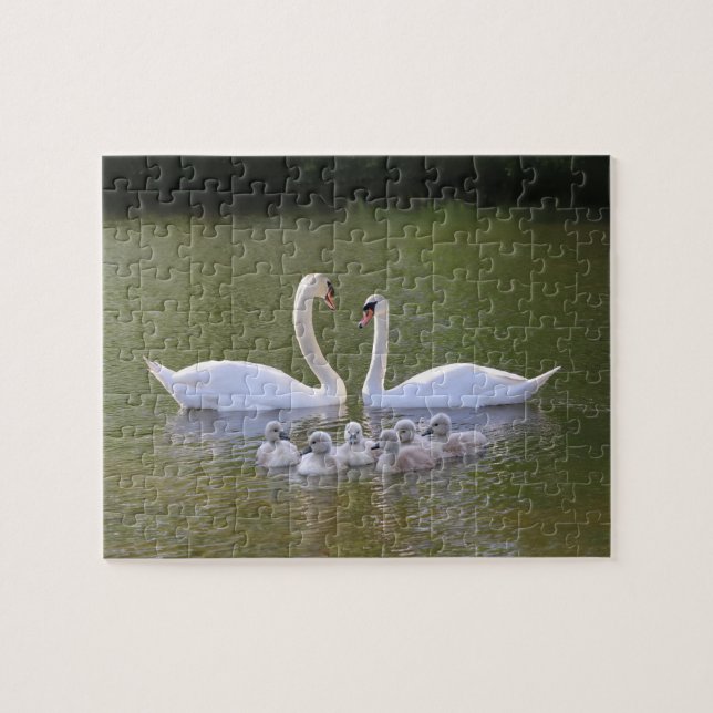 Swan and cygnets jigsaw puzzle (Horizontal)