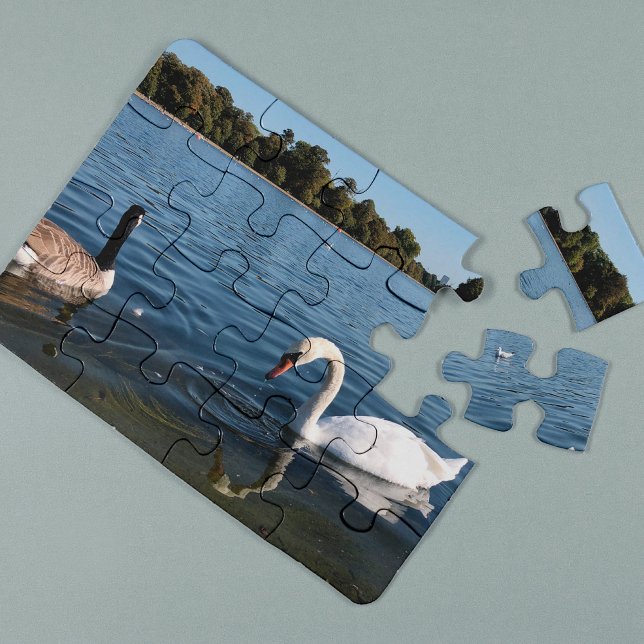 Swan and duck swimming | The Royal Park London Jigsaw Puzzle (Creator Uploaded)