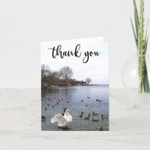 Swan and Ducks on Lake Thank You Card