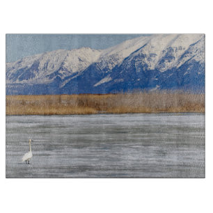 Swan and snow cutting board