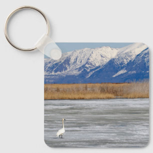 Swan and snow key ring