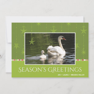 Swan and Star Ornaments Season's Greeting Holiday Card