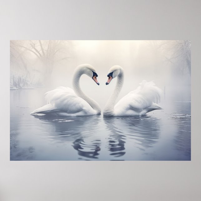 Swan Animal Bird Wildlife Wilderness Colourful Art Poster (Front)
