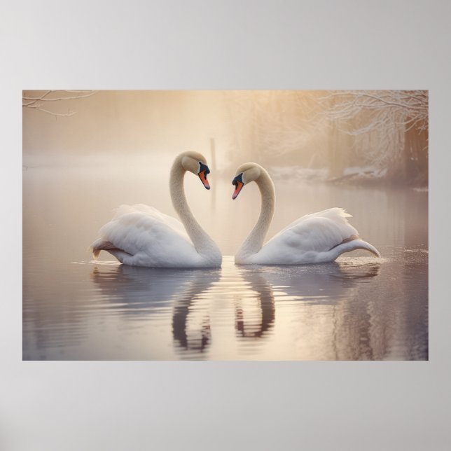 Swan Animal Bird Wildlife Wilderness Colourful Art Poster (Front)
