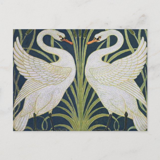 Swan Art Nouveau Two Swans  Postcard (Front)