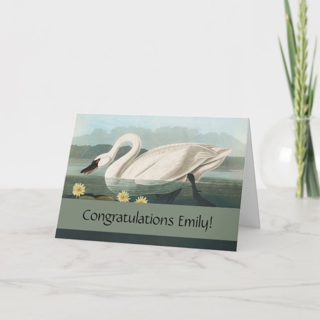 swan audubon bird white water swans card (Front)
